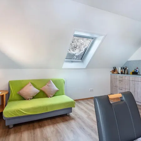 Haus Belchenwiese Holiday home