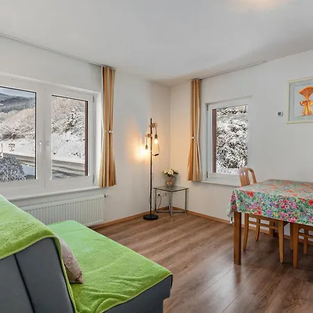 Haus Belchenwiese Holiday home