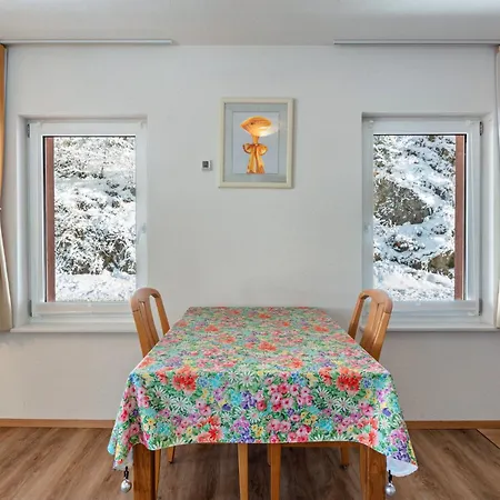 Haus Belchenwiese Holiday home