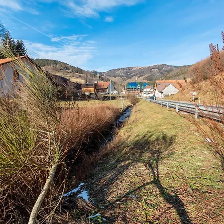 Haus Belchenwiese Kleines Wiesental